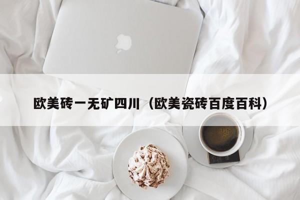 欧美砖一无矿四川（欧美瓷砖百度百科）