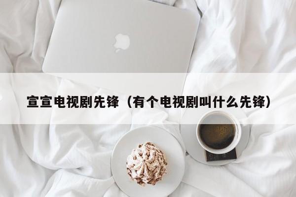 宣宣电视剧先锋（有个电视剧叫什么先锋）