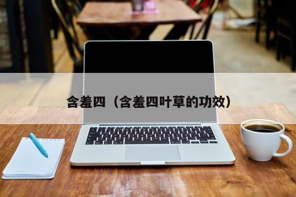 含羞四（含羞四叶草的功效）