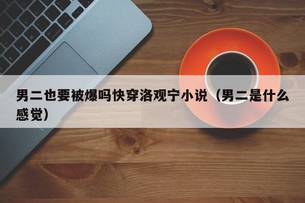 男二也要被爆吗快穿洛观宁小说（男二是什么感觉）