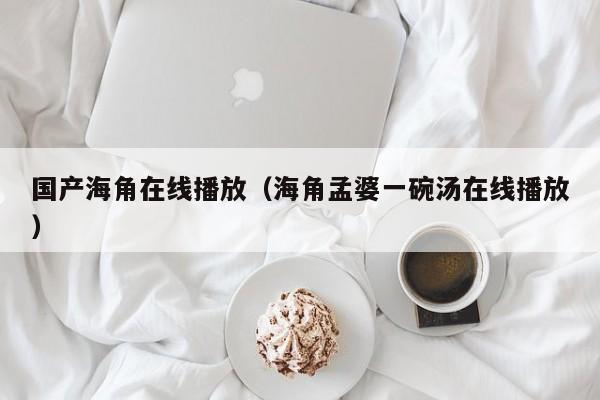 国产海角在线播放（海角孟婆一碗汤在线播放）