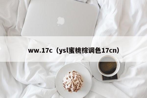 ww.17c（ysl蜜桃棕调色17cn）