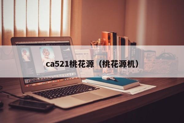 ca521桃花源（桃花源机）